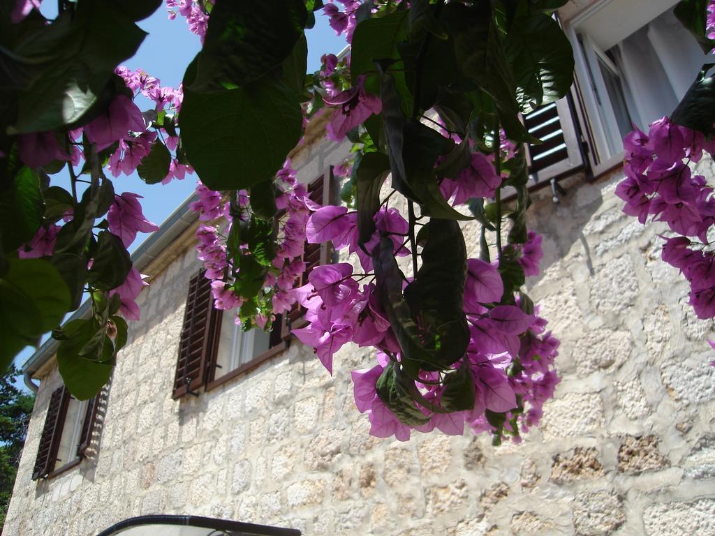 Apartament Zoe