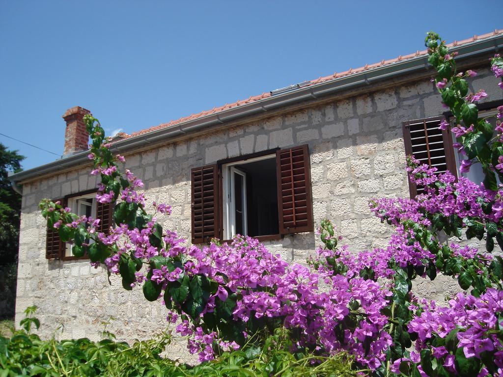 Apartament Zoe Bol