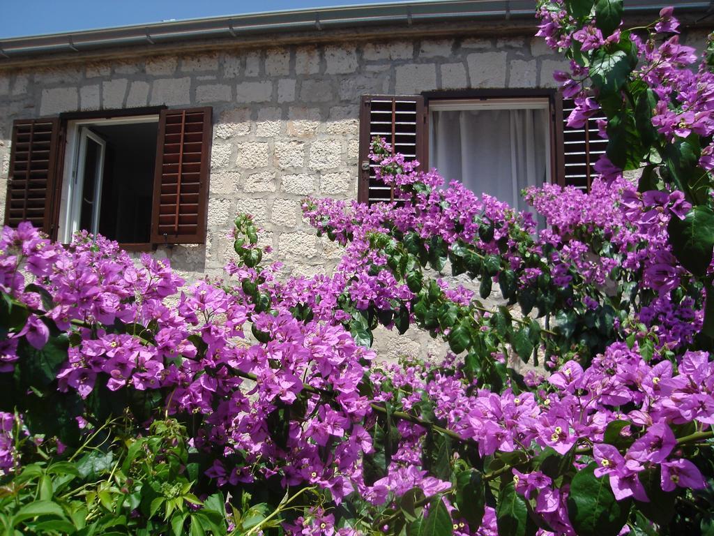Zoe Apartament Bol